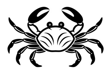crab spider vector