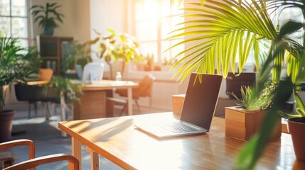 A bright office space with greenery and a laptop on a wooden table, promoting productivity.