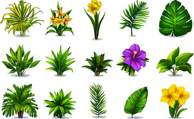 Tropical plants and flowers set with leaves