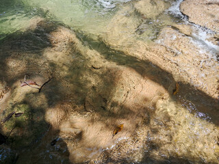 Saluopa Waterfall: Located in the Heart of the Forest of Central Sulawesi, Featuring 12 Stunning and Crystal Clear Waterfalls. The waterfall is a favorite and is always sought after by foreign tourist