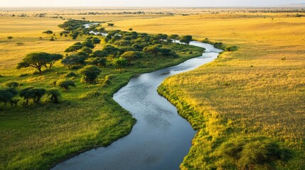 Fototapeta premium A river cutting through the savannah grassland, with lush green trees lining its banks, contrasting with the dry, golden plains beyond.