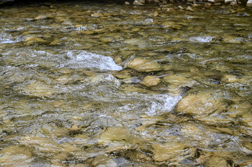 A clean mountain river. Water flows over stones in nature.