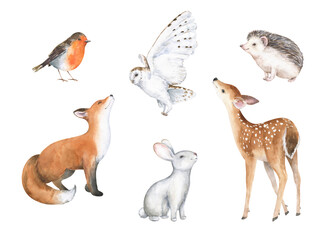Watercolor forest animals clipart. Set of cute woodland characters. Hand drawn illustration. Baby deer, fox, owl, hare, hedgehog, robin.