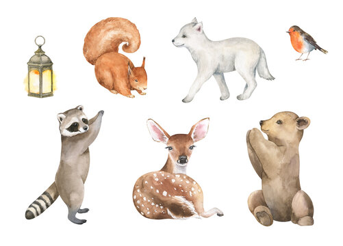 Watercolor forest animals clipart. Set of cute woodland characters. Hand drawn illustration. Baby bear, raccoon,  deer, wolf, squirrel, robin.