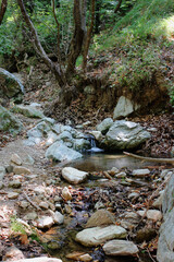 The path of the centaurs (after Cyclone Daniel) Portaria Pelion Greece