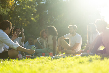 Group of friends having fun taking photos at a picnic in the park
