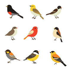Set of birds in a flat design style on a white background