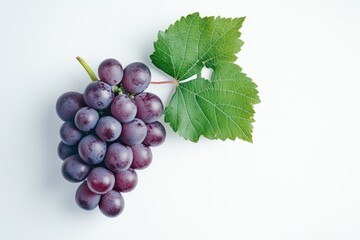 Fototapeta premium Fresh grapes with leaf
