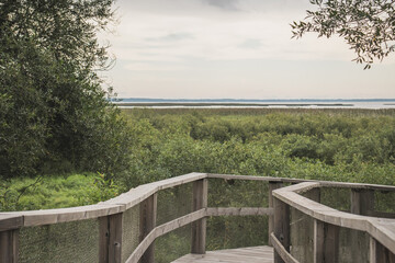 wooden bridge over the river