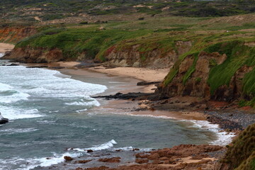 phillip island