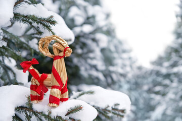straw Yule Goat toy on snowy fir tree outdoor. Winter nature background. traditional festive decor, Symbol of Yule, Christmas holiday. magic ritual for YuleTide, winter solstice.