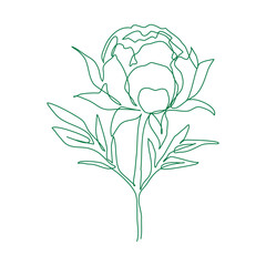 simple flower illustration created with a continuous line. An abstract botanical design template perfect for minimalist covers, t-shirt prints, postcards, banners, and more. Available in EPS 10 vector