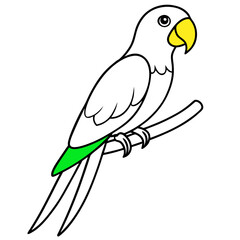 Vibrant Parrot Vector Illustration Celebrating the Beauty of Colorful Birds in Nature
