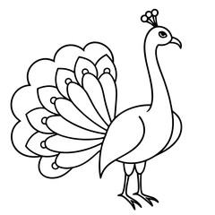 Vibrant Peacock Fan Vector Illustration Showcasing Colorful Feathers and Graceful Beauty
