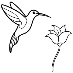 Beautiful Sunbird Near Flower Vector Art Showcasing Nature's Harmony
