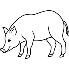 Explore the Wild Boar Sniffing the Ground Vector Illustration in Its Natural Habitat
