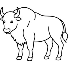 Realistic vector illustration of a powerful bison with thick fur and bold posture
