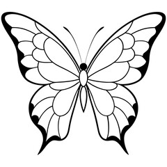 Discover vibrant butterfly wings with our detailed vector illustration collection
