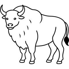 Bison strength captured in vector illustration showcasing thick fur and strong stance
