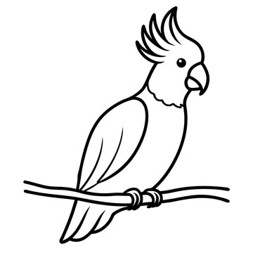 recommend clip art: Vector illustration of a cockatoo with crest raised perched on a branch
                    