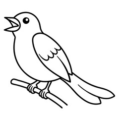 Elegant Cuckoo Singing on a Branch Beautiful Vector Illustration for Nature Lovers
