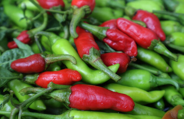 Chili, Fresh red and green chills at traditional market in sindh pakistan