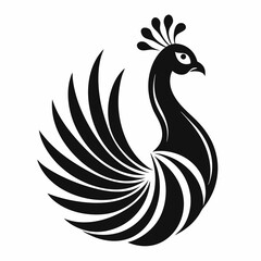 Obraz premium peacock 