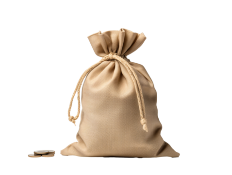 a bag of money next to coins