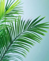 Obraz premium Tropical Palm Leaves with Negative Space – Close-up of large, vibrant green palm leaves against a plain background, creating plenty of open space for graphic elements or text