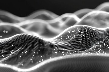 Wavy Black and White Surface