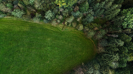 Naklejka premium Aerial Photography of a Grassy Meadow and Pine Forest