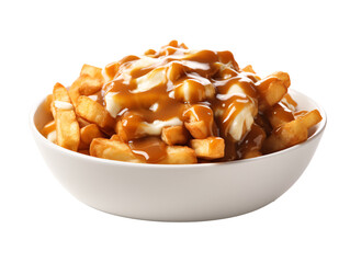 a bowl of poutine with gravy and sauce