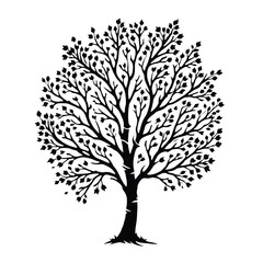 Fototapeta premium Aspen Silhouette