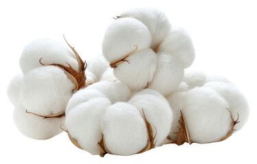 PNG Soft white cotton plant balls