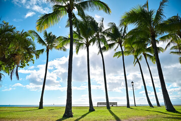 ハワイのビーチ近くの風景