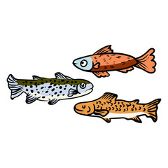 cute cartoon rice fish with separate white background