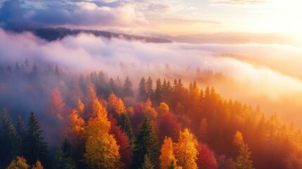 Fototapeta premium Vibrant Autumn Landscape with Misty Forest Views
