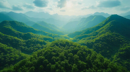 Obraz premium A lush green forest with a mountain range in the background