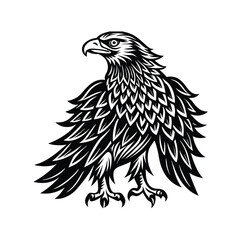  eagle silhouette design vector