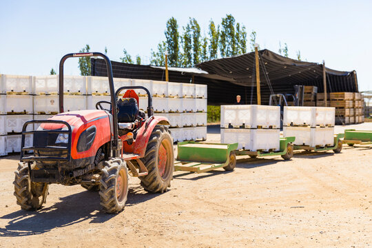 Harvesting tractor in front of some stacked fruit boxes with freshly picked nectarines, nobody