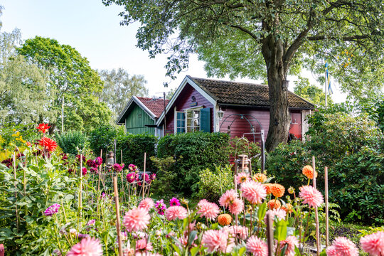 Picturesque summer garden with blooming flowers and a cottage in Stockholm, Sweden.