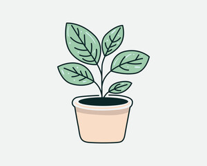Plant in pot for home decoration. Houseplant vector illustration, isolated on white.