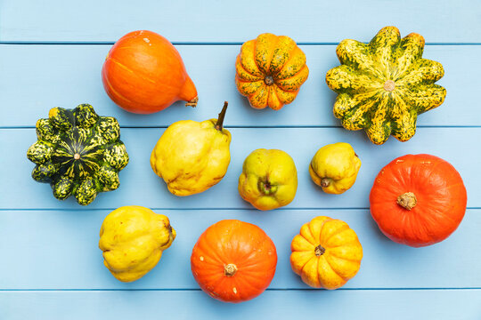 Various types of quince and pumpkins arranged on a wooden background