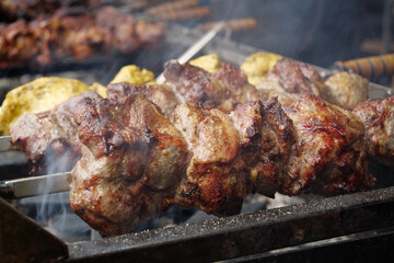 Appetizing hot kebabs. Shish kebabs broil on barbecue. Different meat are cooked