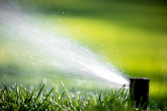 Close-up of a pop-up sprinkler spray head watering grass in Germany.