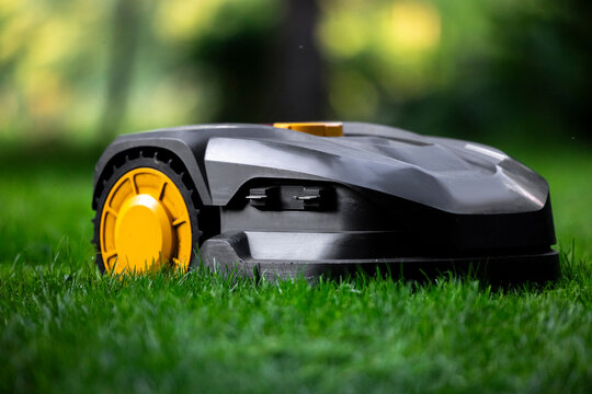 Electronic robotic lawn mower on green grass