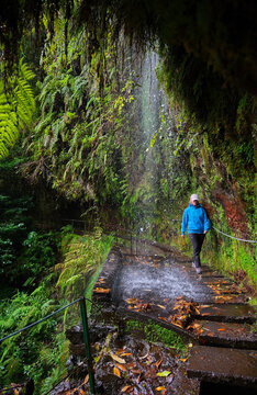Person hiking along Levada do Rei trail in Madeira, Portugal with wet stone path and lush vegetation