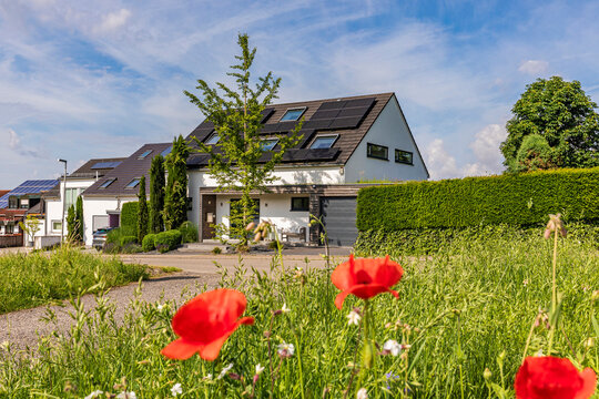 Modern single family homes near Waiblingen, Germany with photovoltaic systems and poppies in a green residential area.