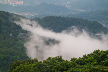 A breathtaking view of a lush green valley shrouded in mist. The clouds create a soft, ethereal atmosphere, while the distant mountains provide a dramatic backdrop. Xindian, Taiwan.