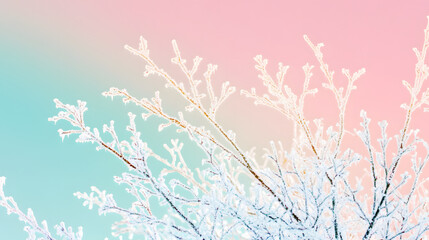 Vibrant Winter Wonderland with Snow-Covered Branches